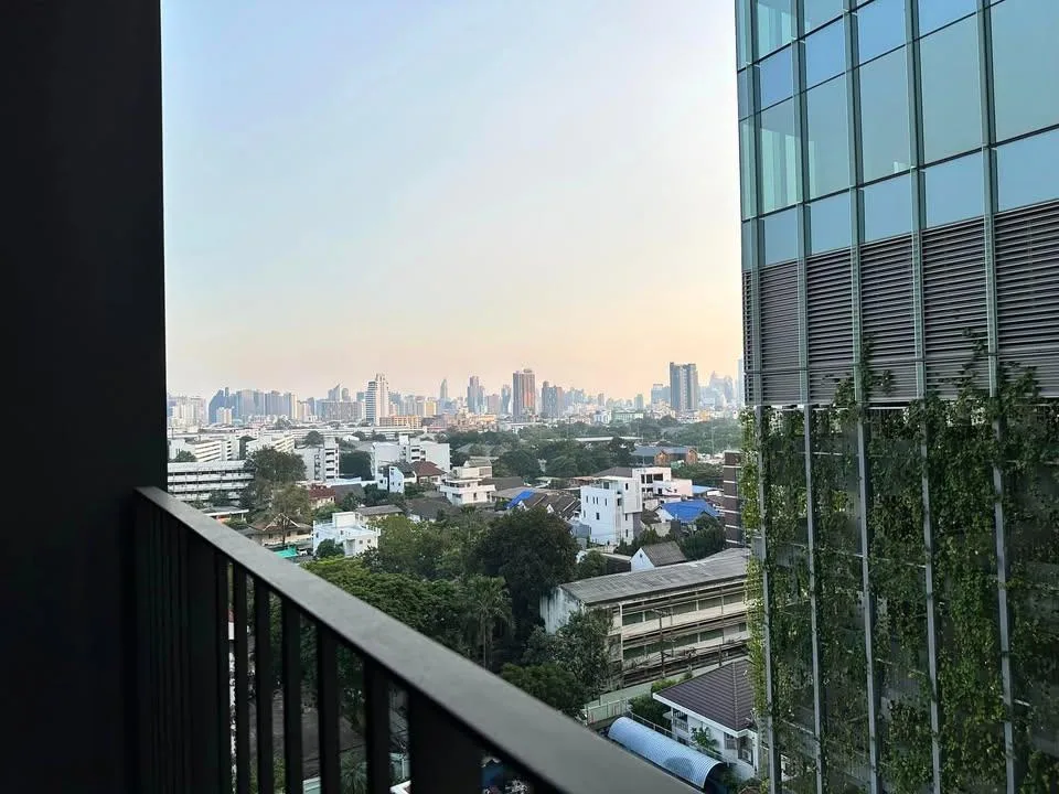 Noble Around Ari — photo 10