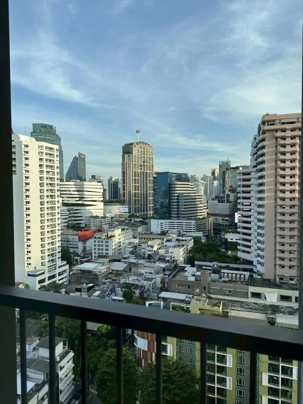Noble Around 33 — photo 10
