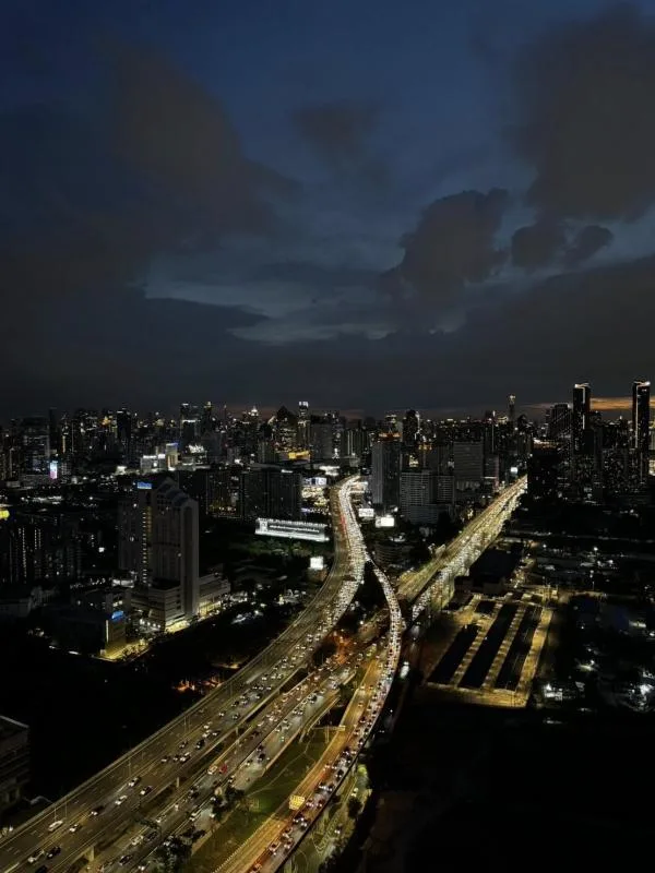 Siamese Rama 9 — photo 11