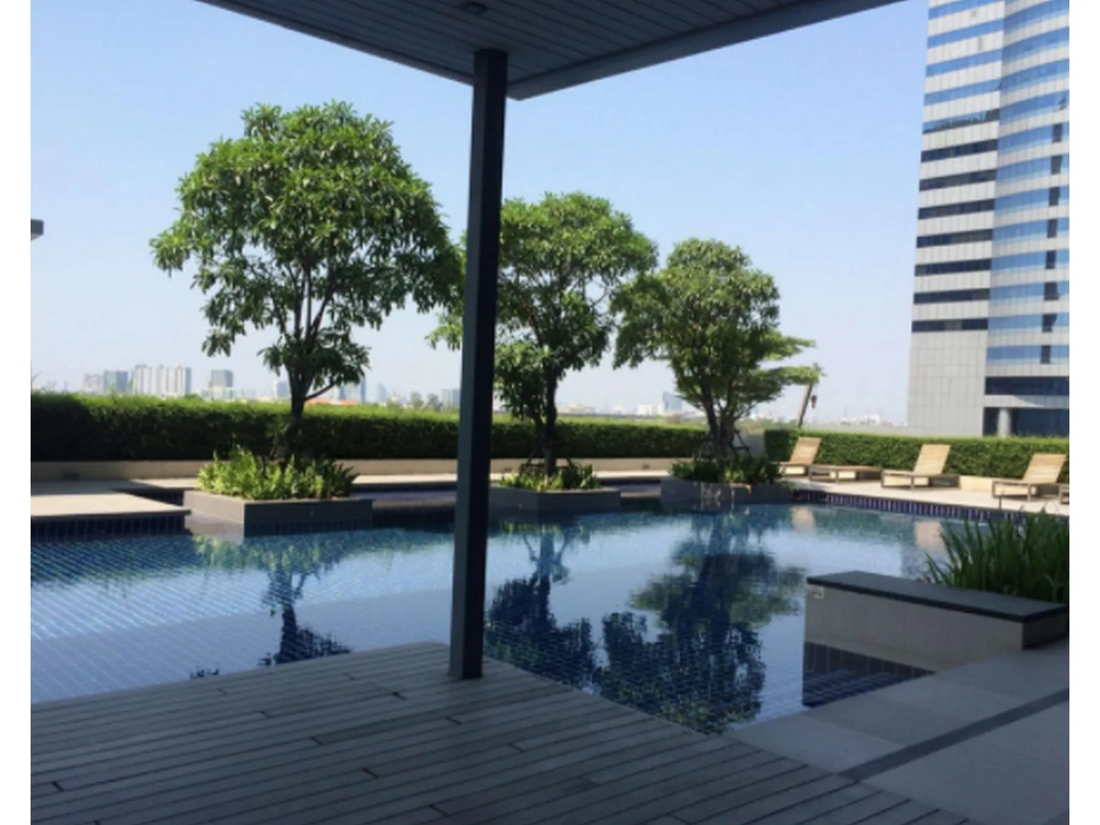 SYM Vibha-Ladprao — photo 10