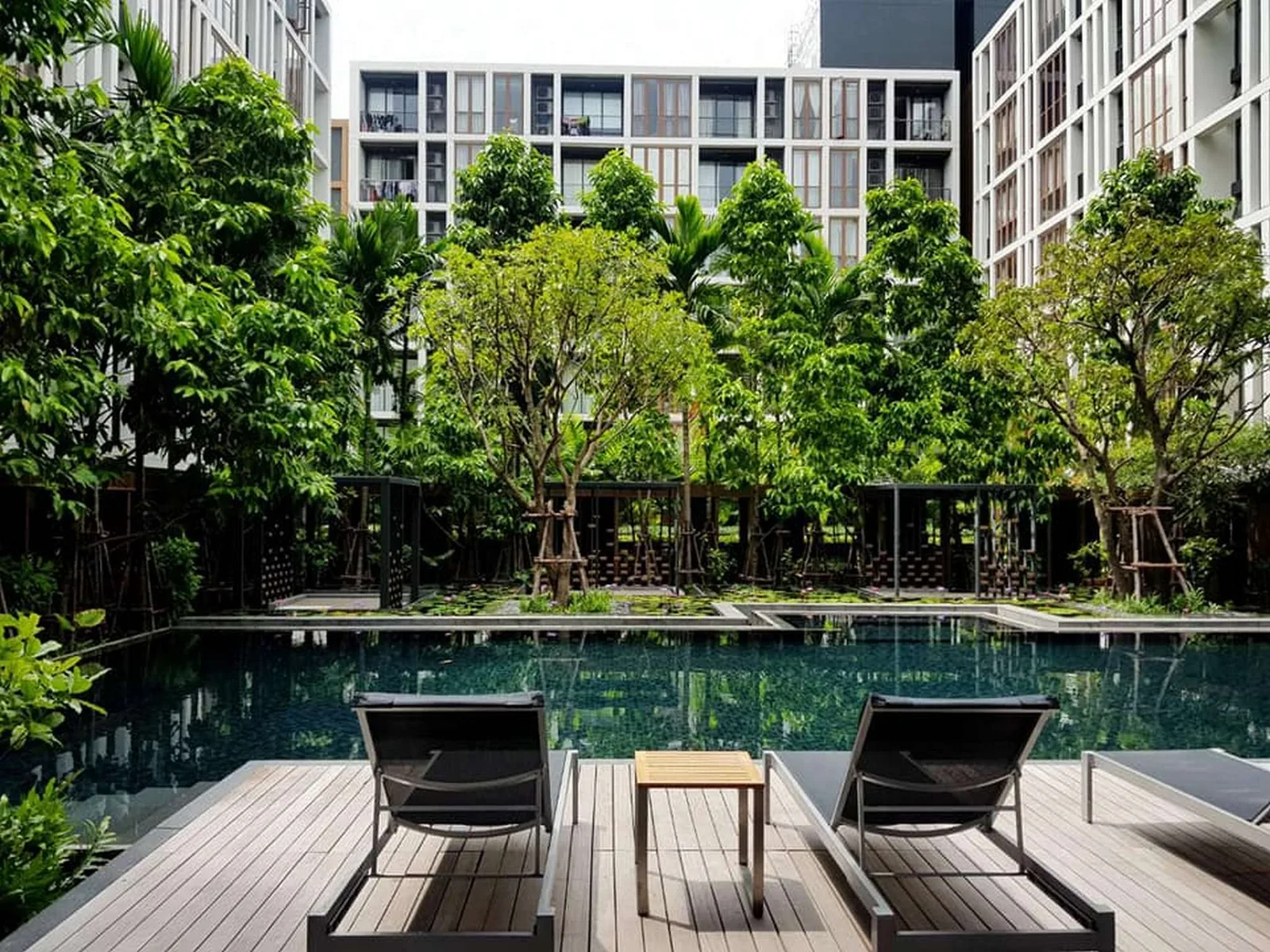 Hasu Haus — photo 11
