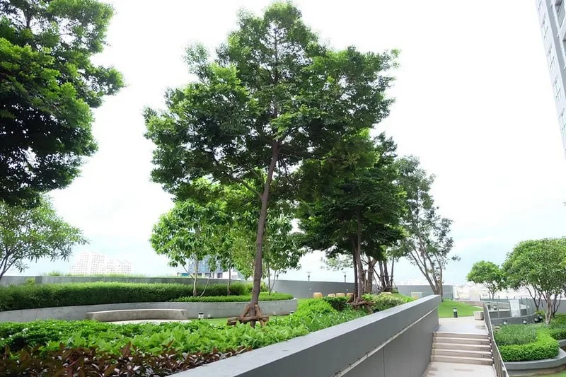 Life @ Ratchada — photo 15