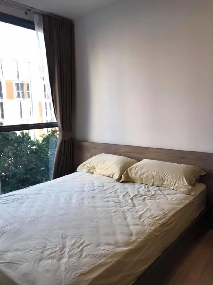 Taka Haus Ekamai 12 — photo 8