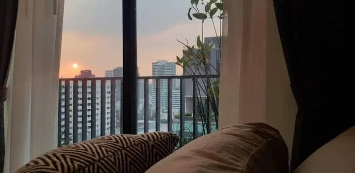 M Thonglor 10 — photo 2