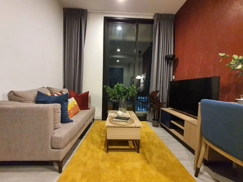 XT Ekkamai — photo 3