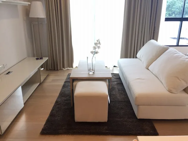 LIV@49 — photo 6