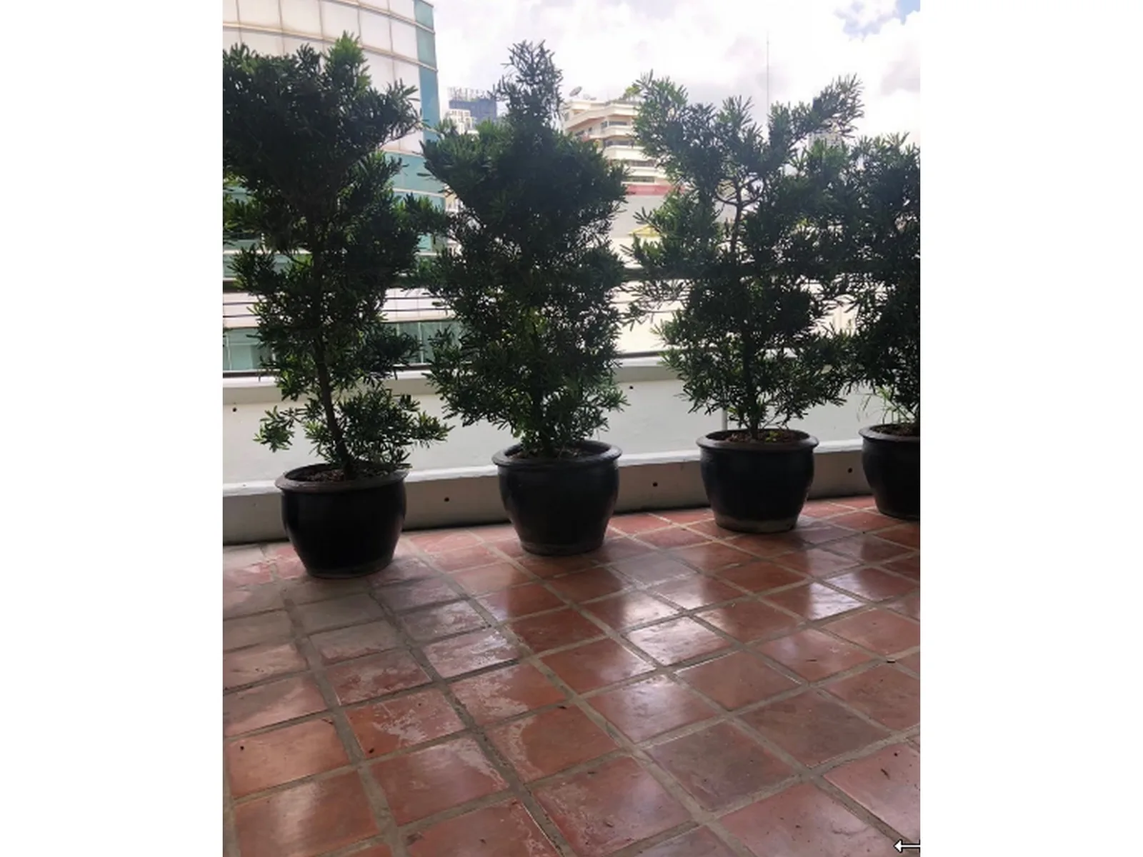 Ma Peng Seng Apartment — photo 6