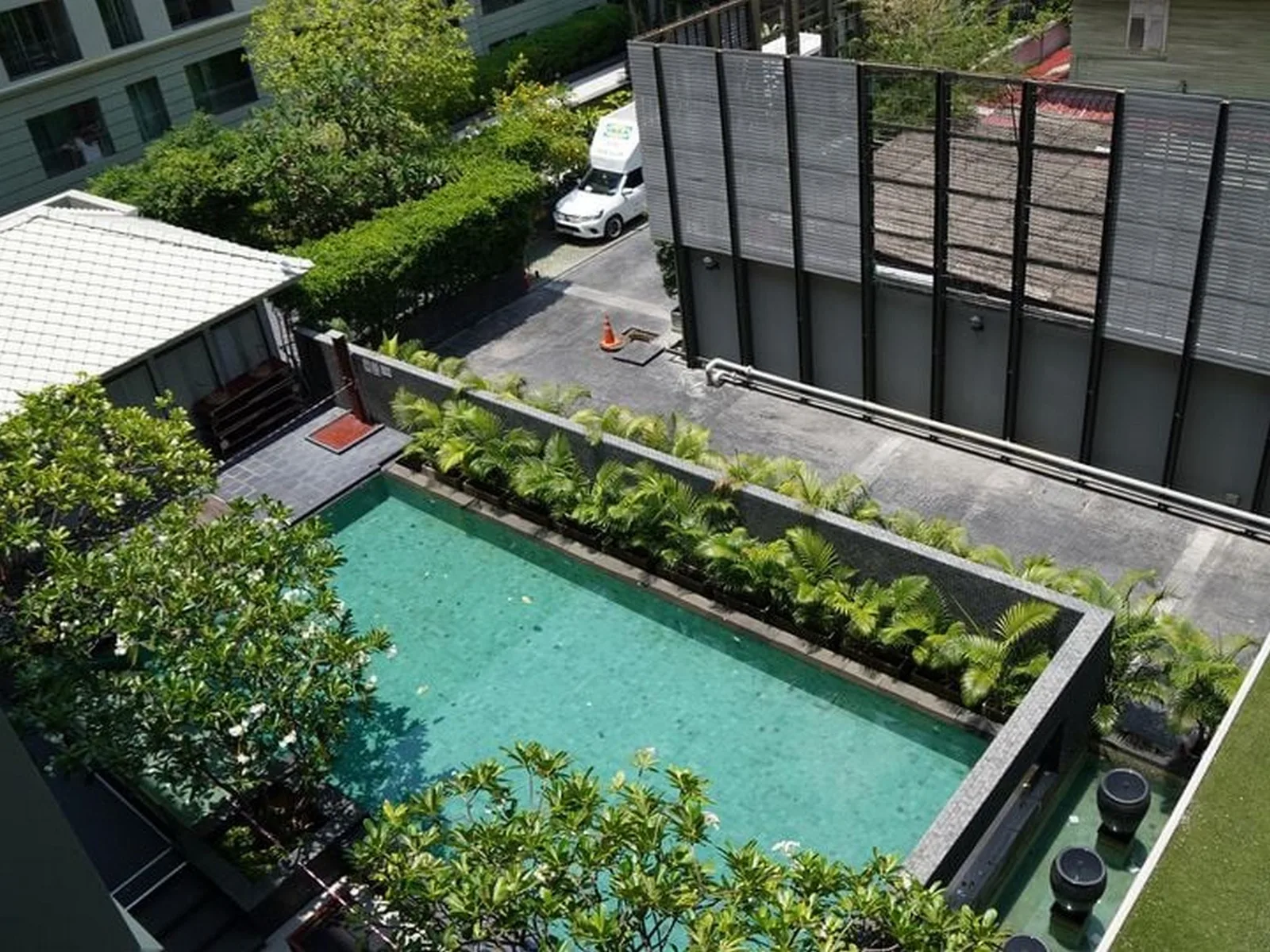 The Seed Memories Siam — photo 9