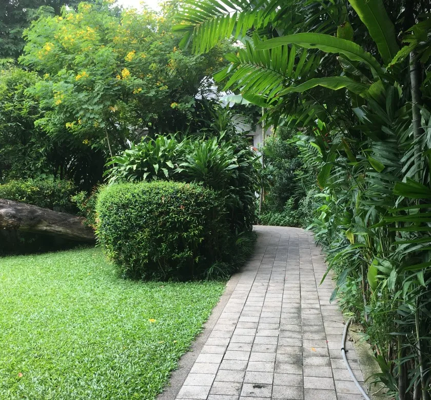 Le Cullinan — photo 17