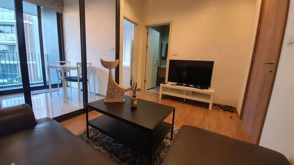 Hasu Haus — photo 2