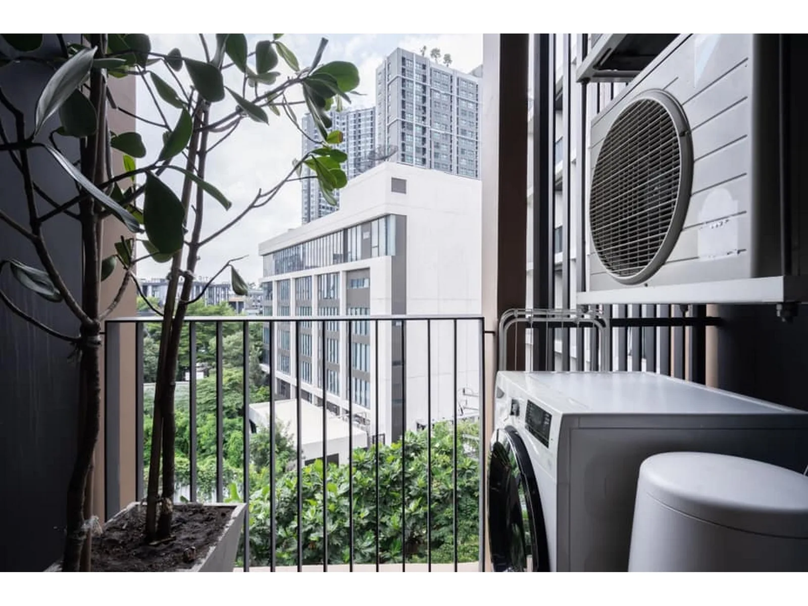 Hasu Haus — photo 16