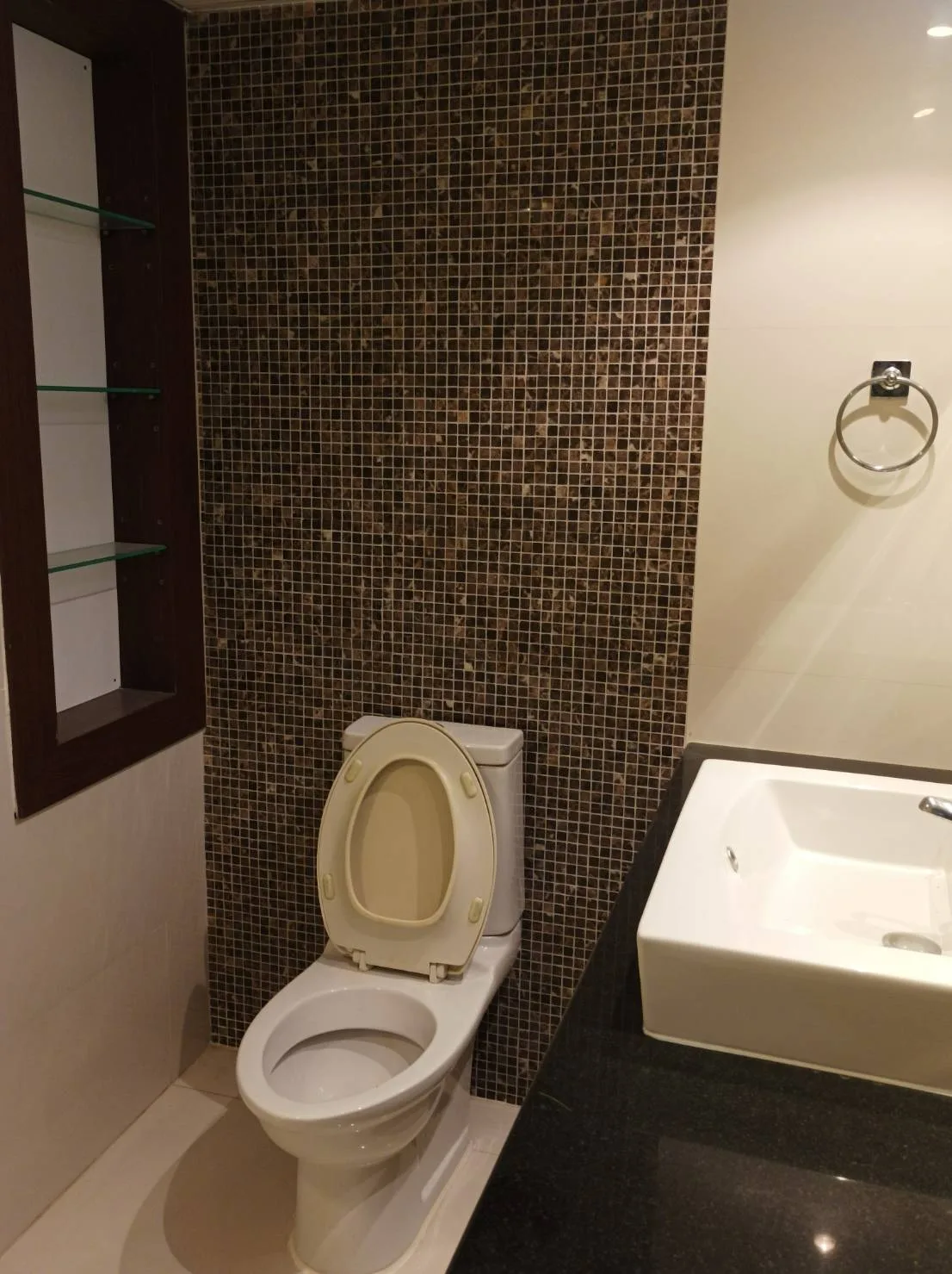 Prem Mansion — photo 11