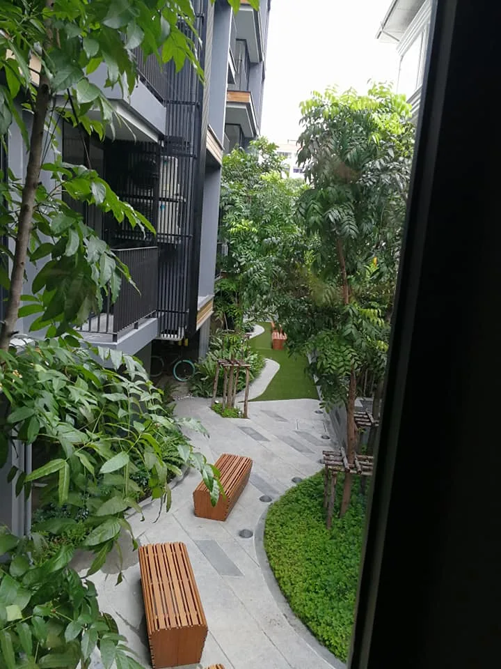 FYNN Aree — photo 8