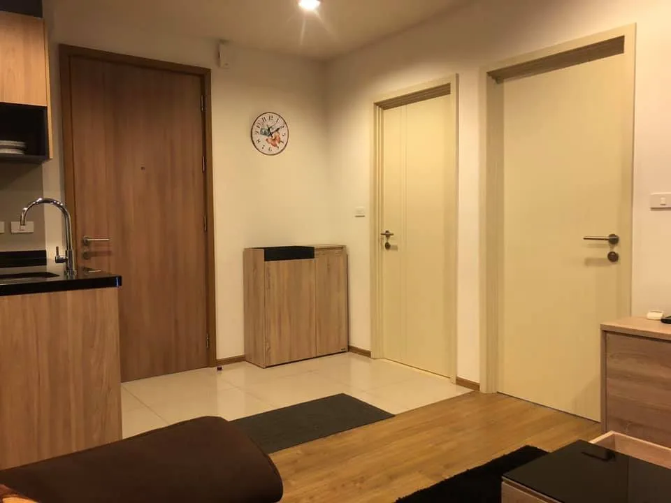 Hasu Haus — photo 7