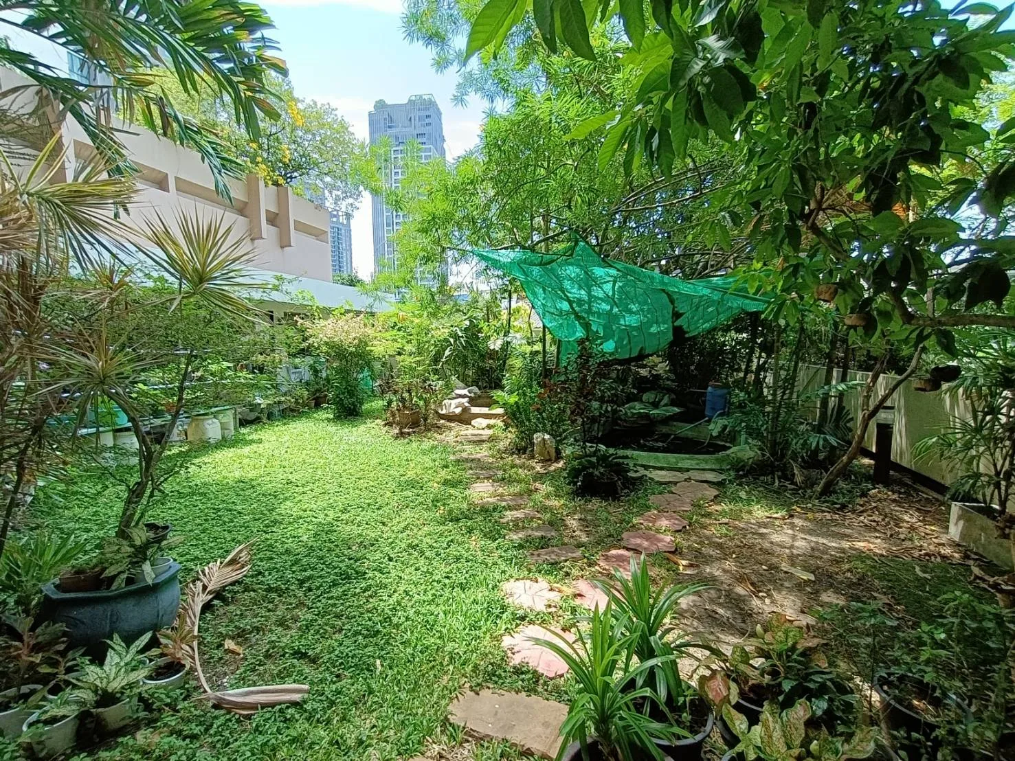 Tongtip Mansion — photo 15