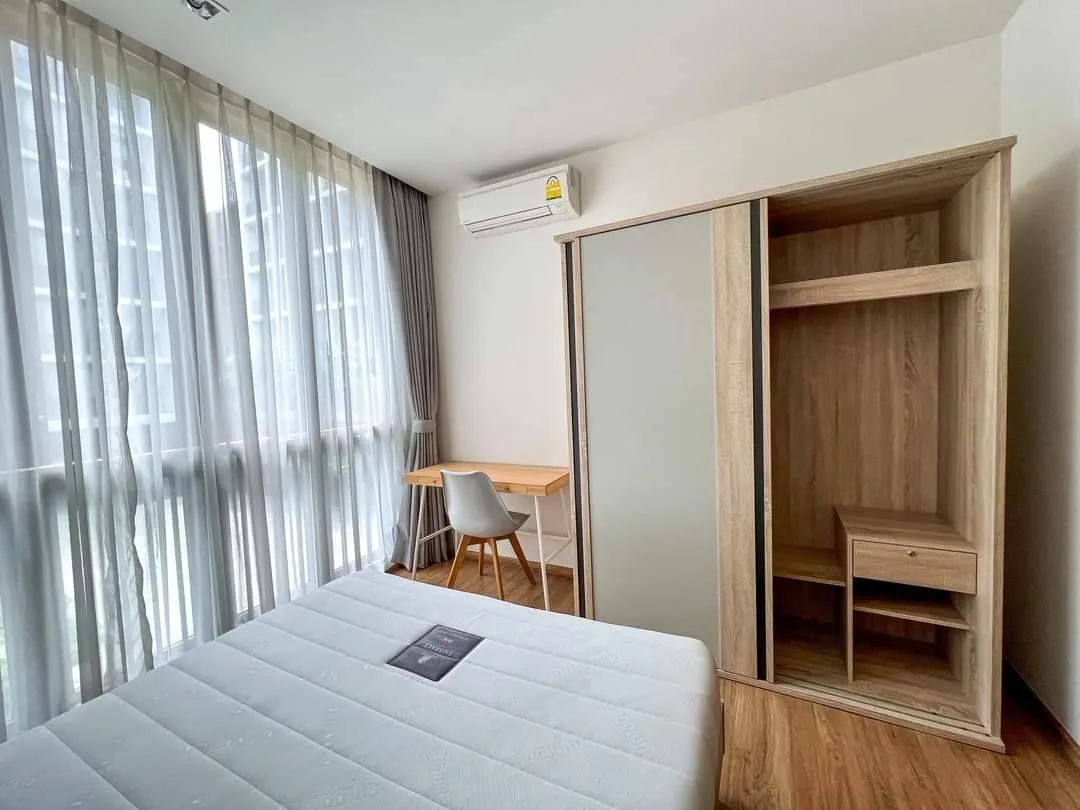 Hasu Haus — photo 4