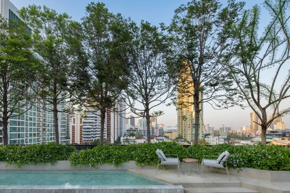 Walden Asoke — photo 7