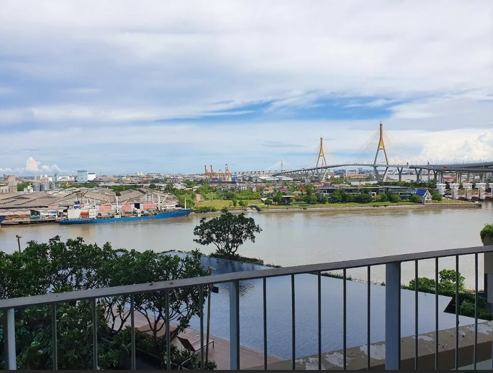 The Pano — photo 11