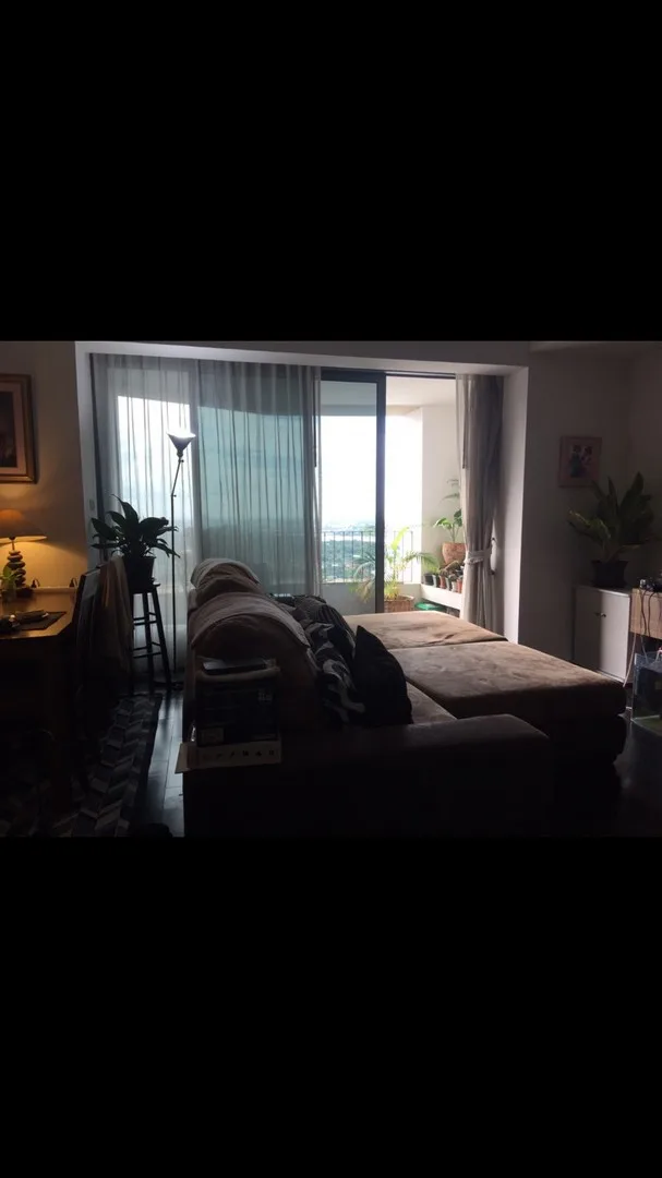 The Pano — photo 4