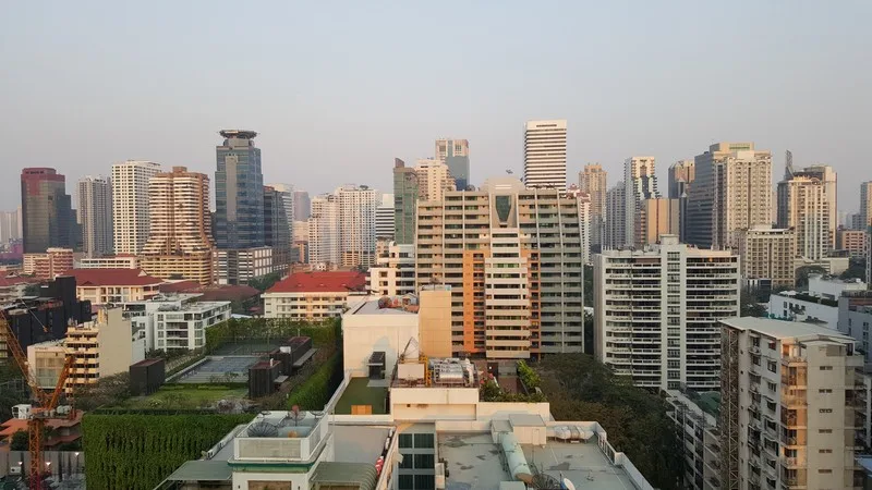 The Prime 11 — photo 2