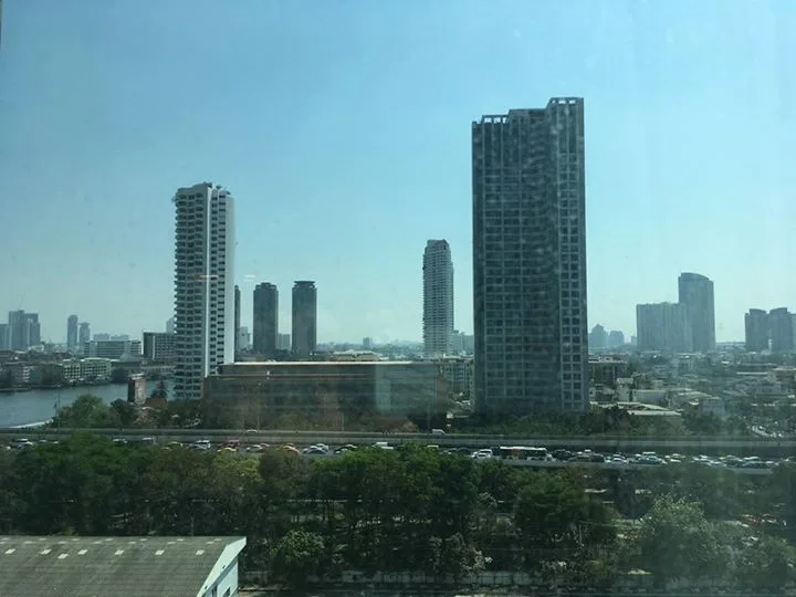 The River — photo 9