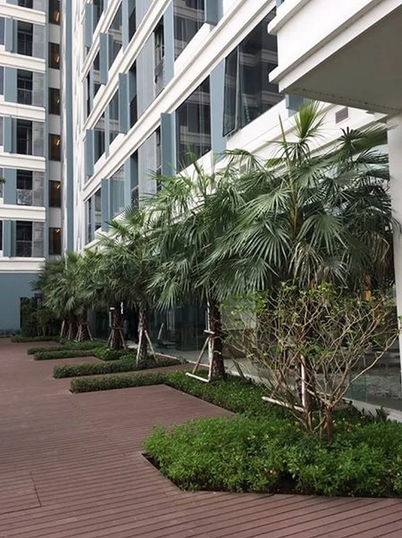 The Saint Residences — photo 18