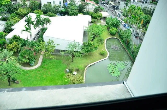 Tidy Thonglor — photo 3