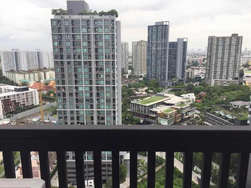 Vista Garden — photo 4