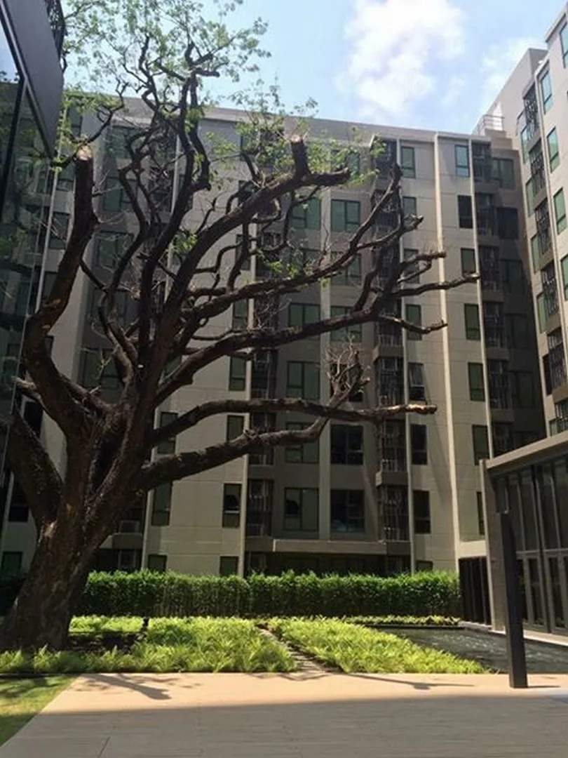 Centric Ari Station — photo 10
