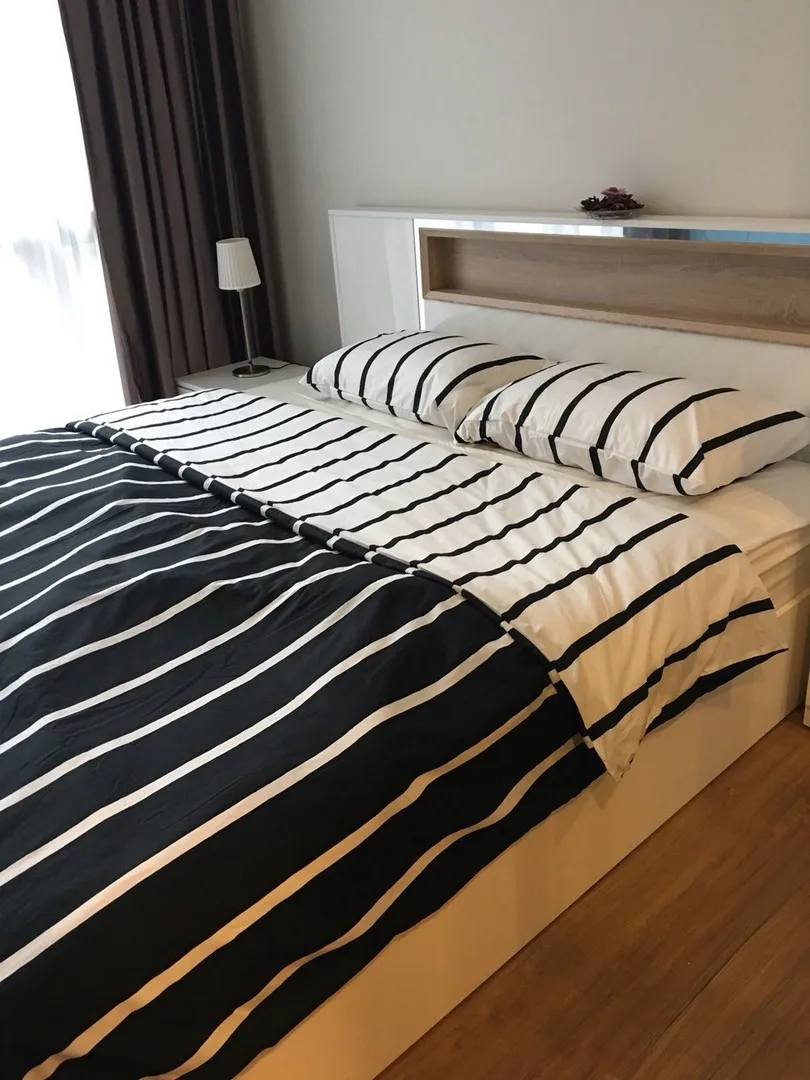 Hasu Haus — photo 2