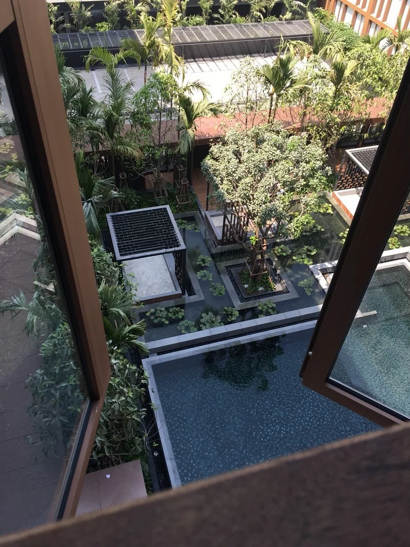 Hasu Haus — photo 7