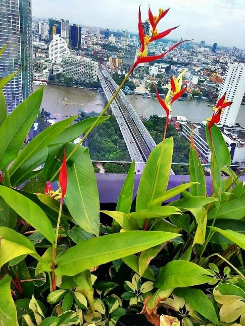 Urbano Absolute Sathon - Taksin — photo 13