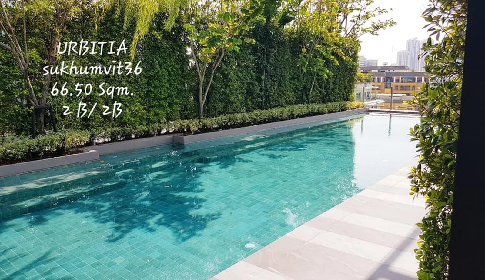 Urbitia Thong Lo — photo 7