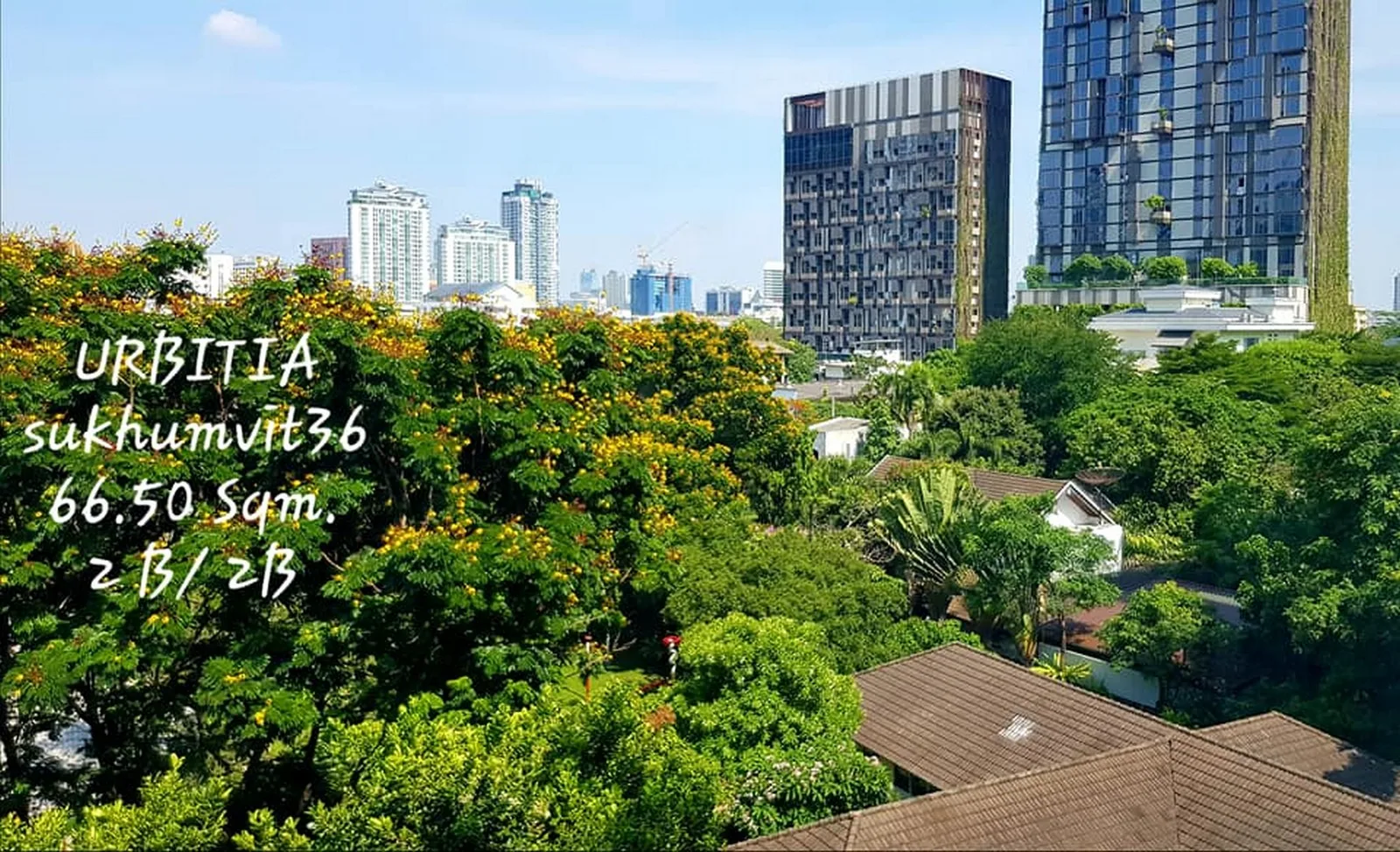 Urbitia Thong Lo — photo 10
