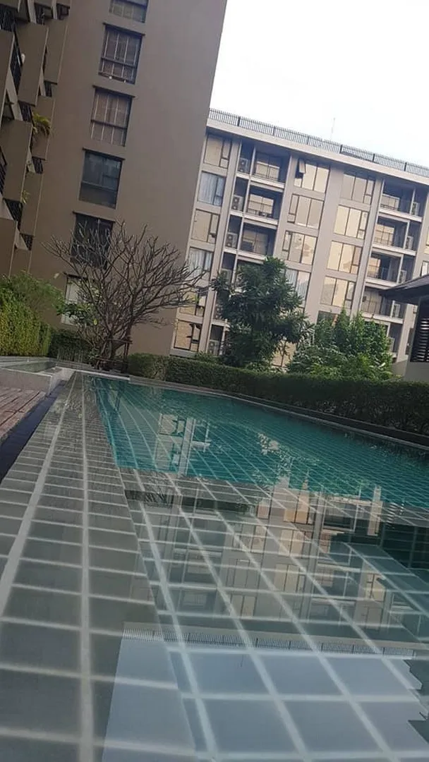 Noble Ambience Sarasin — photo 9