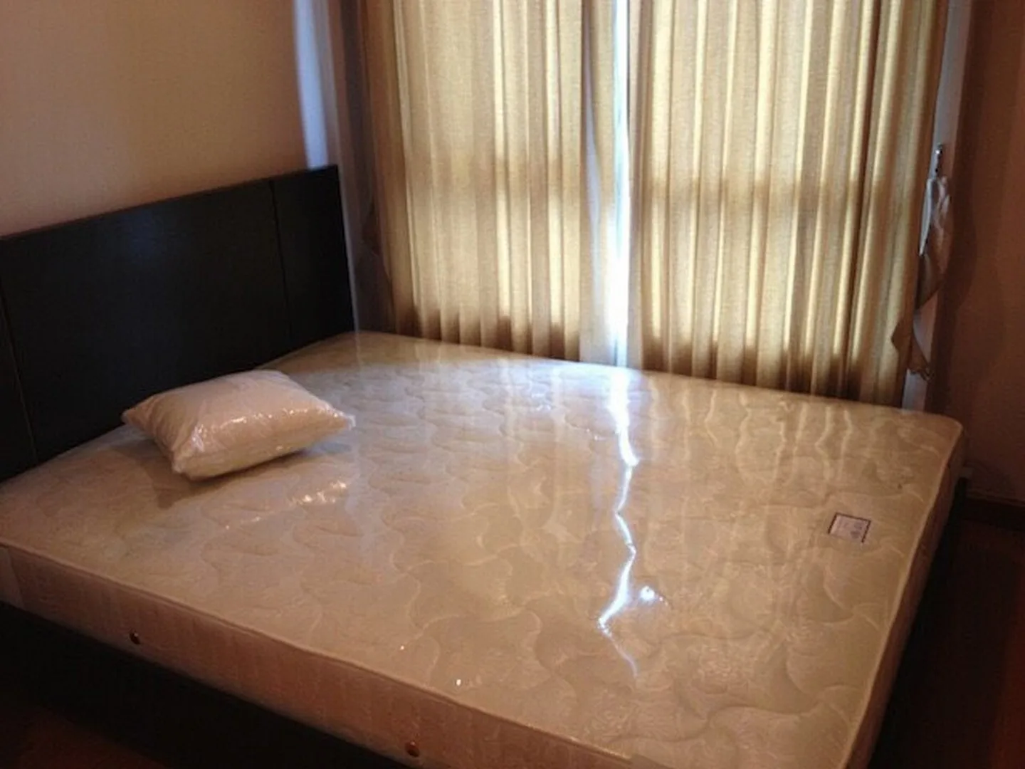 Belle Grand Rama 9 — photo 6