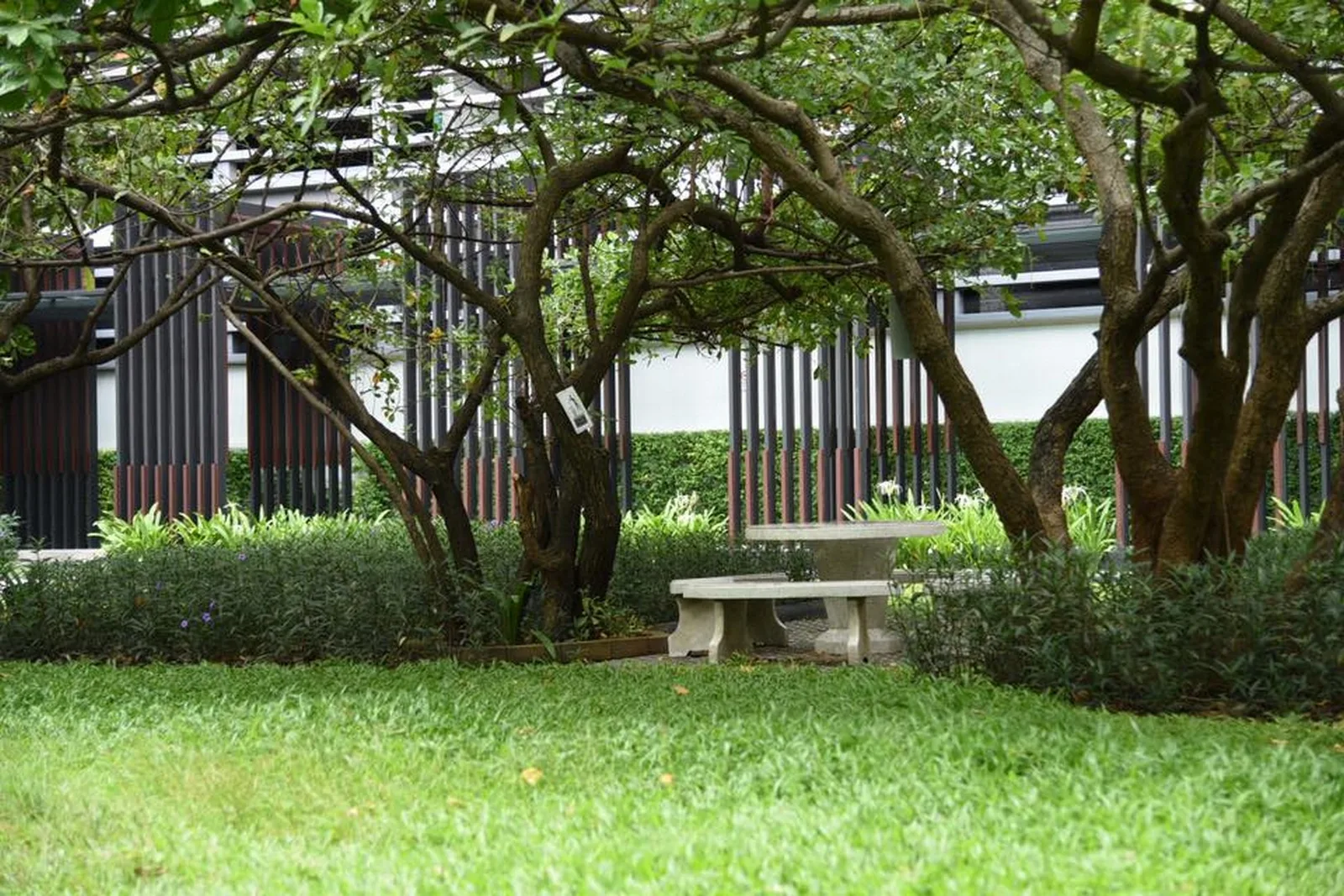 The Parkland Taksin - Thapra — photo 12