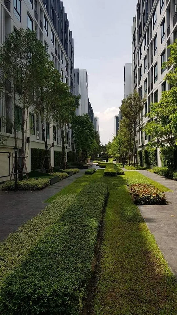 Notting Hill – Sukhumvit 105 — photo 8