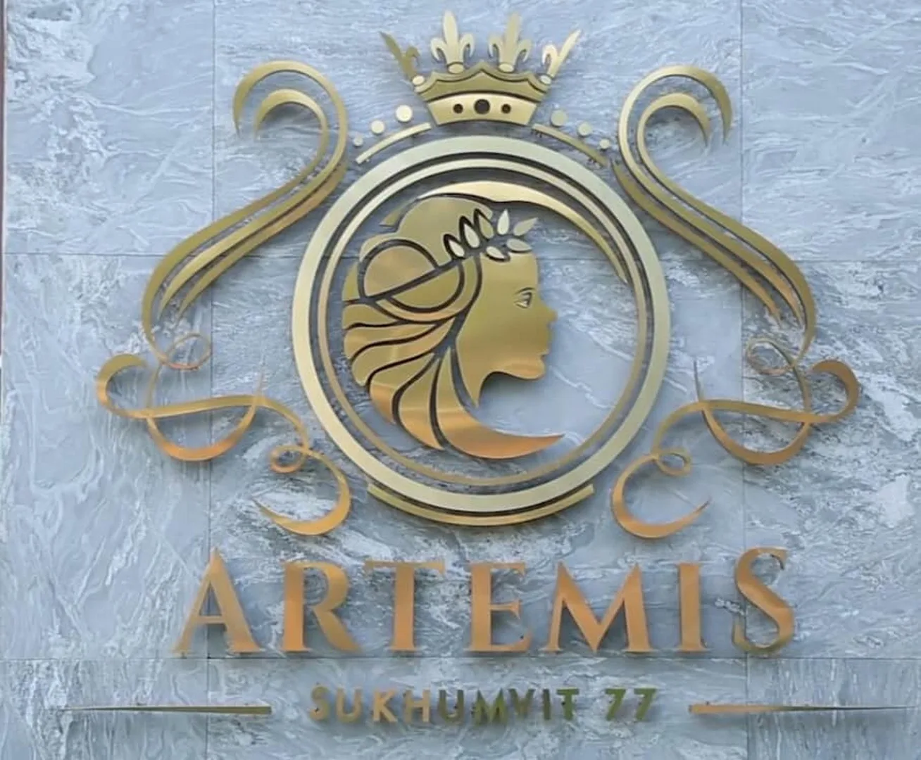 Artemis Sukhumvit 77 — photo 13