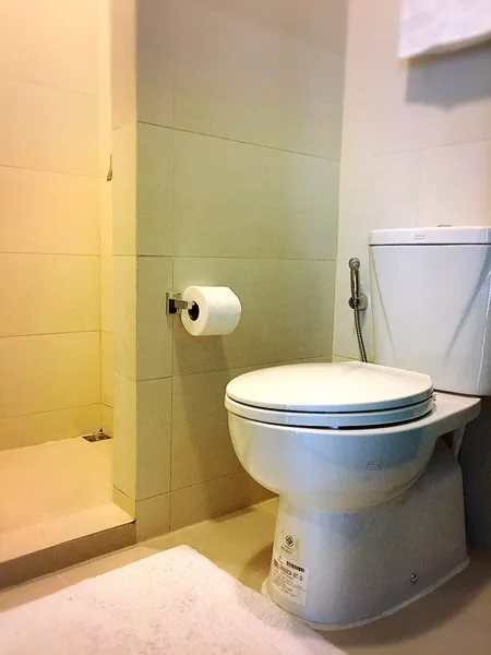 Condolette Midst Rama 9 — photo 9