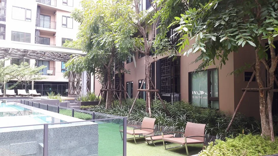 Condolette Pixel Sathorn — photo 7