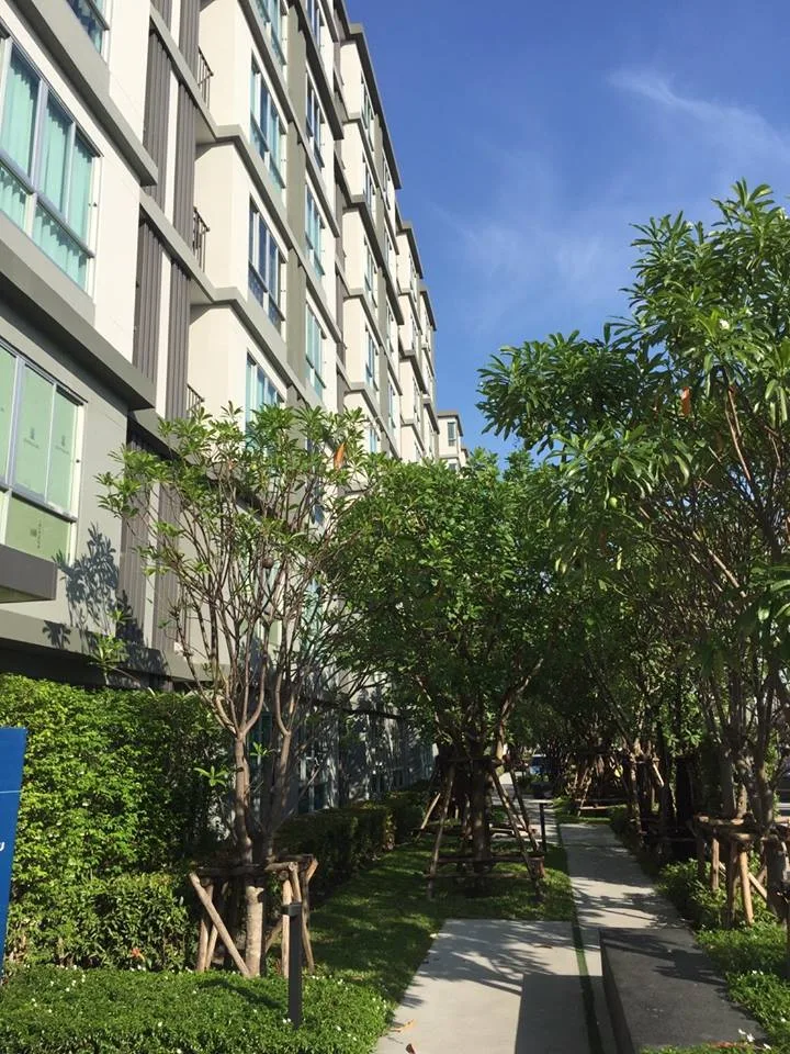 D Condo Onnut - Suvarnabhumi — photo 12
