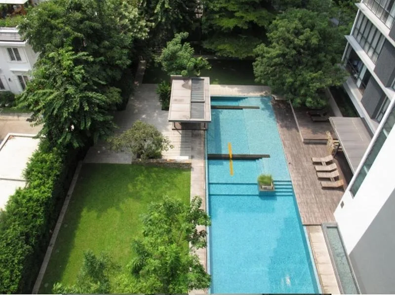 Domus — photo 7