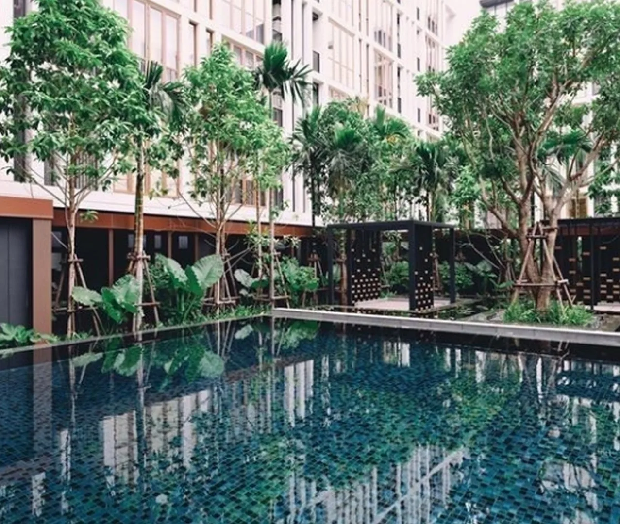 Hasu Haus — photo 9