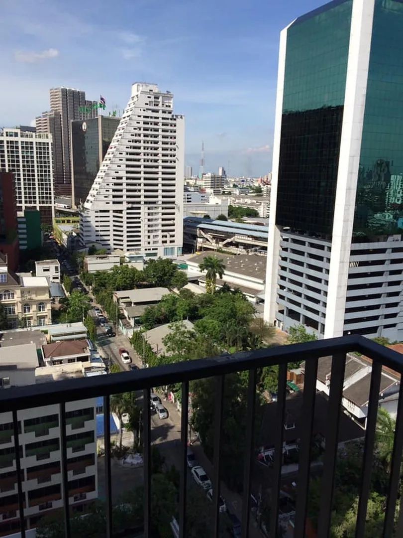 The Vertical Aree — photo 10