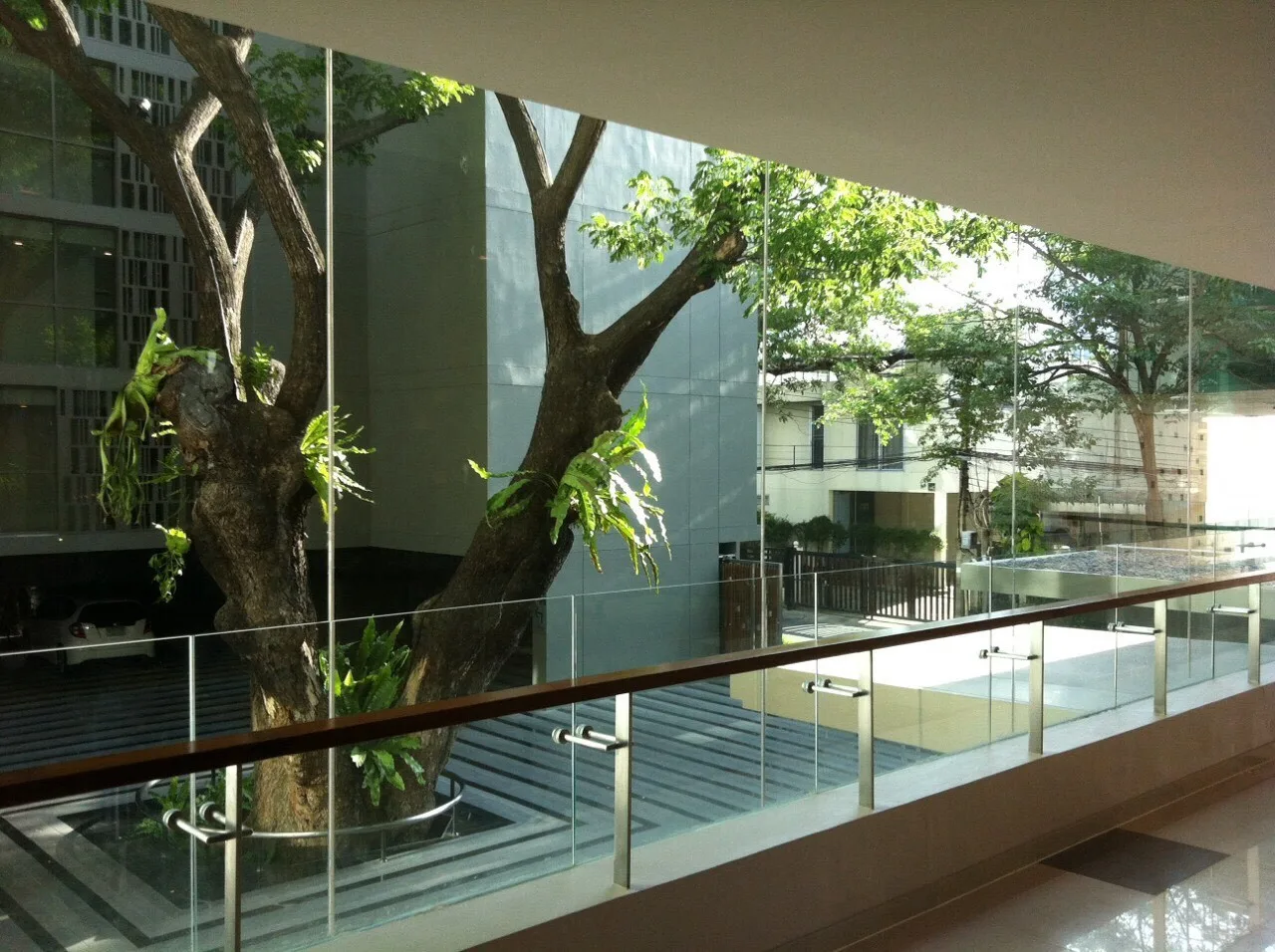 Via Botani — photo 12