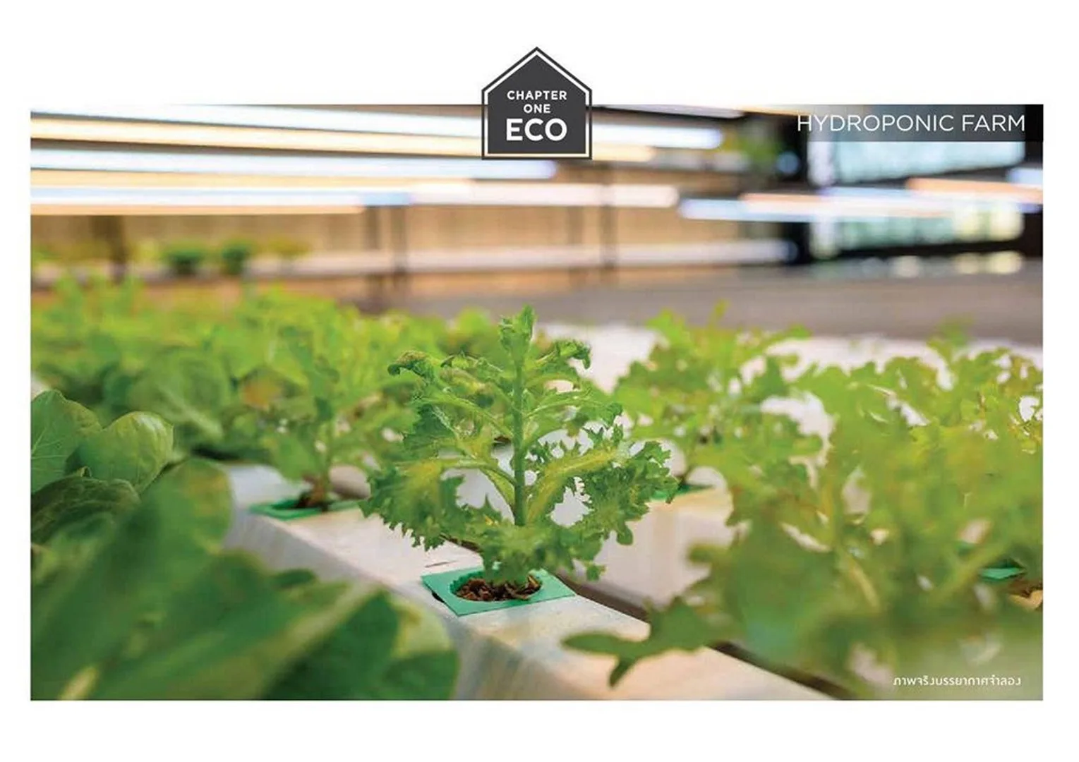 Chapter One Eco Ratchada - Huaikwang — photo 10