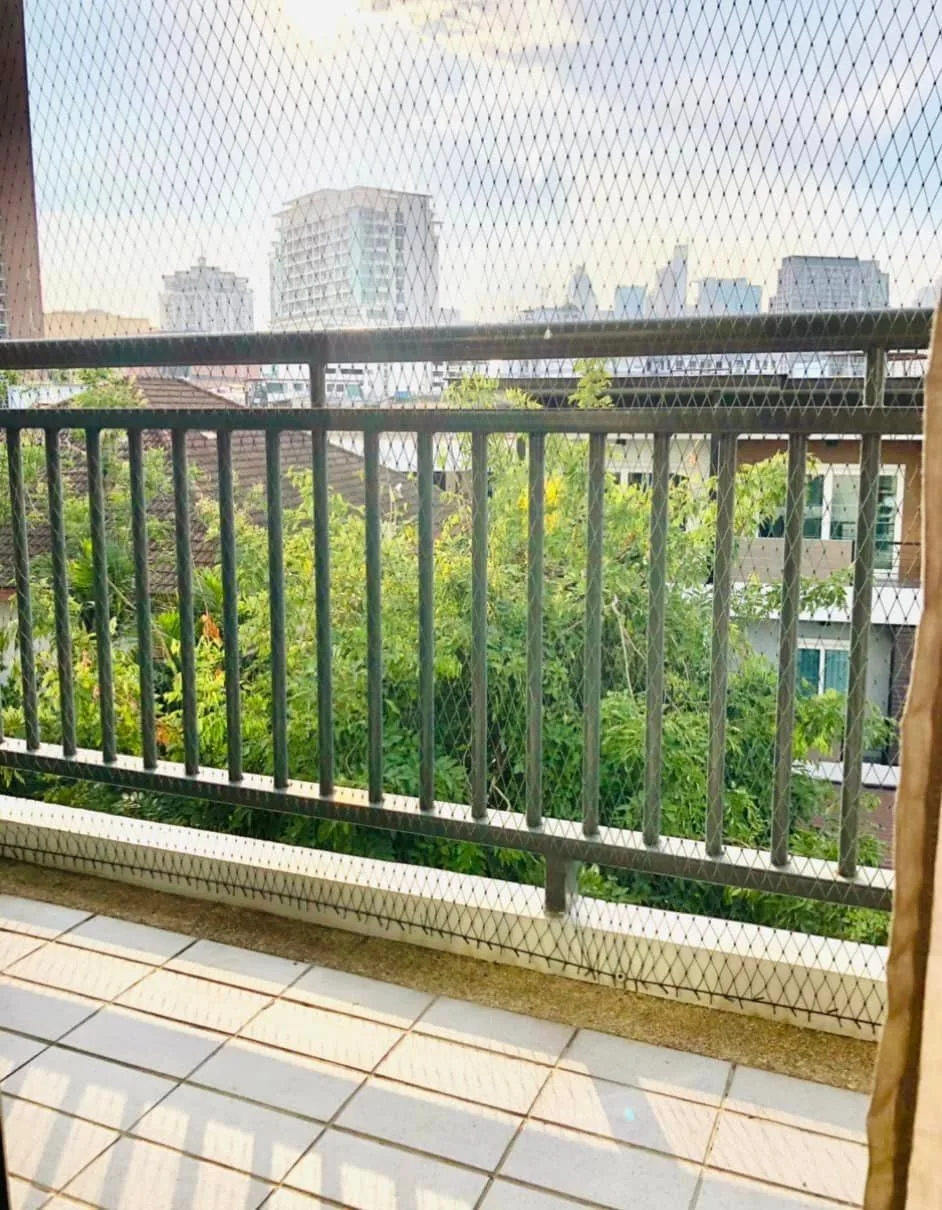 Plus 67 — photo 15