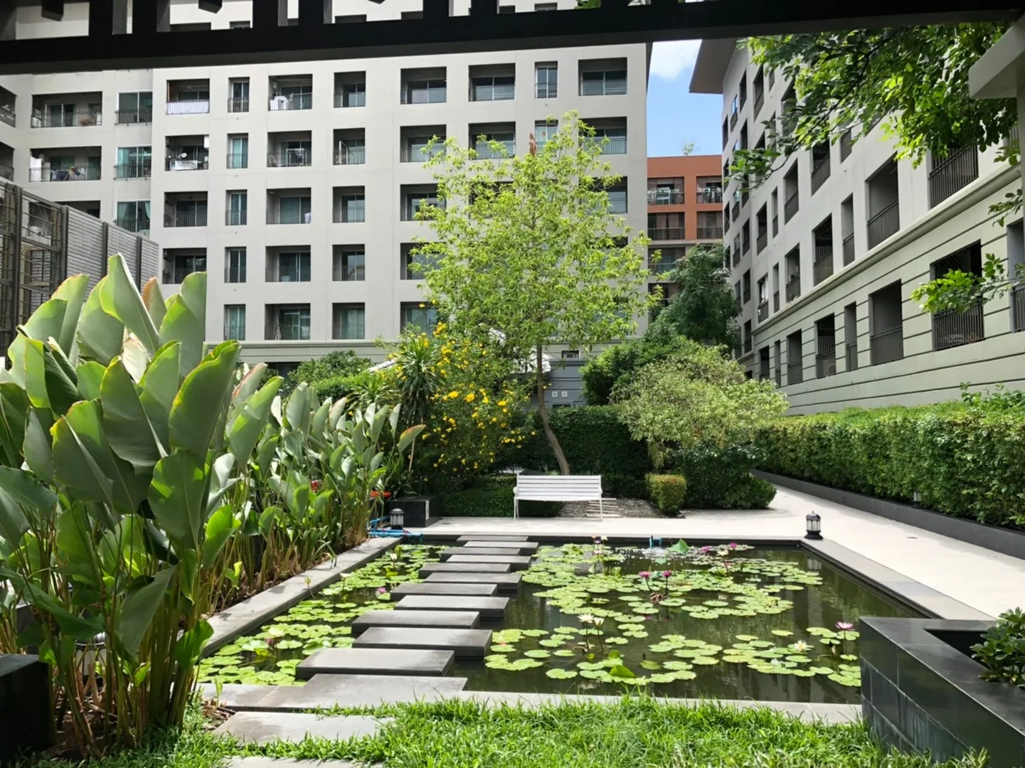 The Seed Memories Siam — photo 12