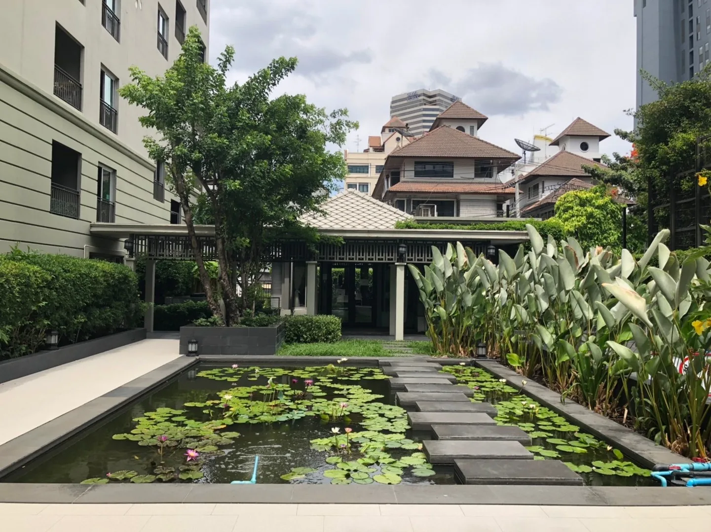 The Seed Memories Siam — photo 13